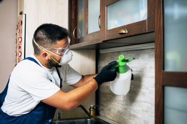 Best Ant Control Services  in New Baltimore, MI