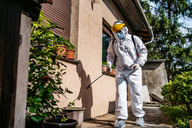 Best Pest Control Near Me in New Baltimore, MI