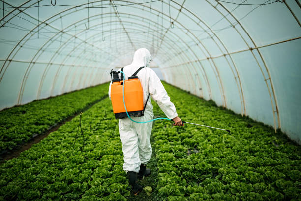 Best Pest Removal Services  in New Baltimore, MI