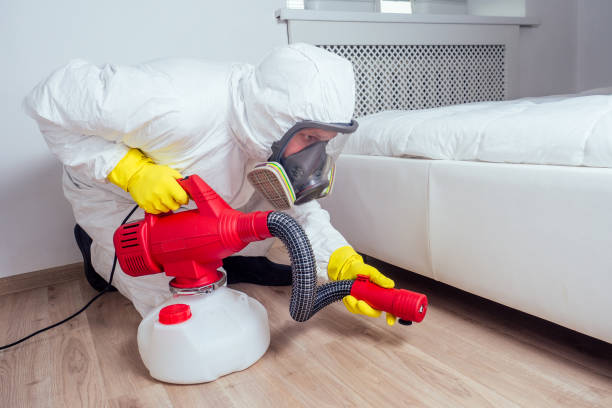 Best Wasp Removal Services  in New Baltimore, MI