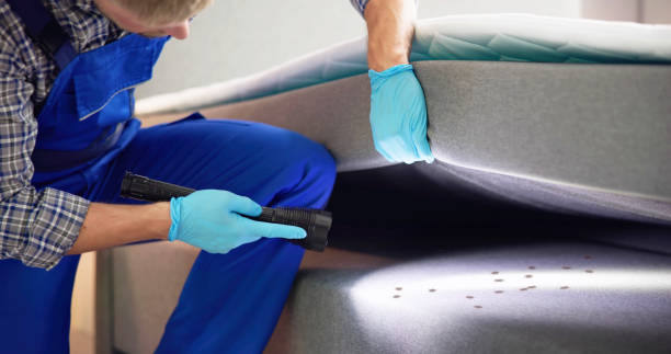 Professional Pest Control in New Baltimore, MI
